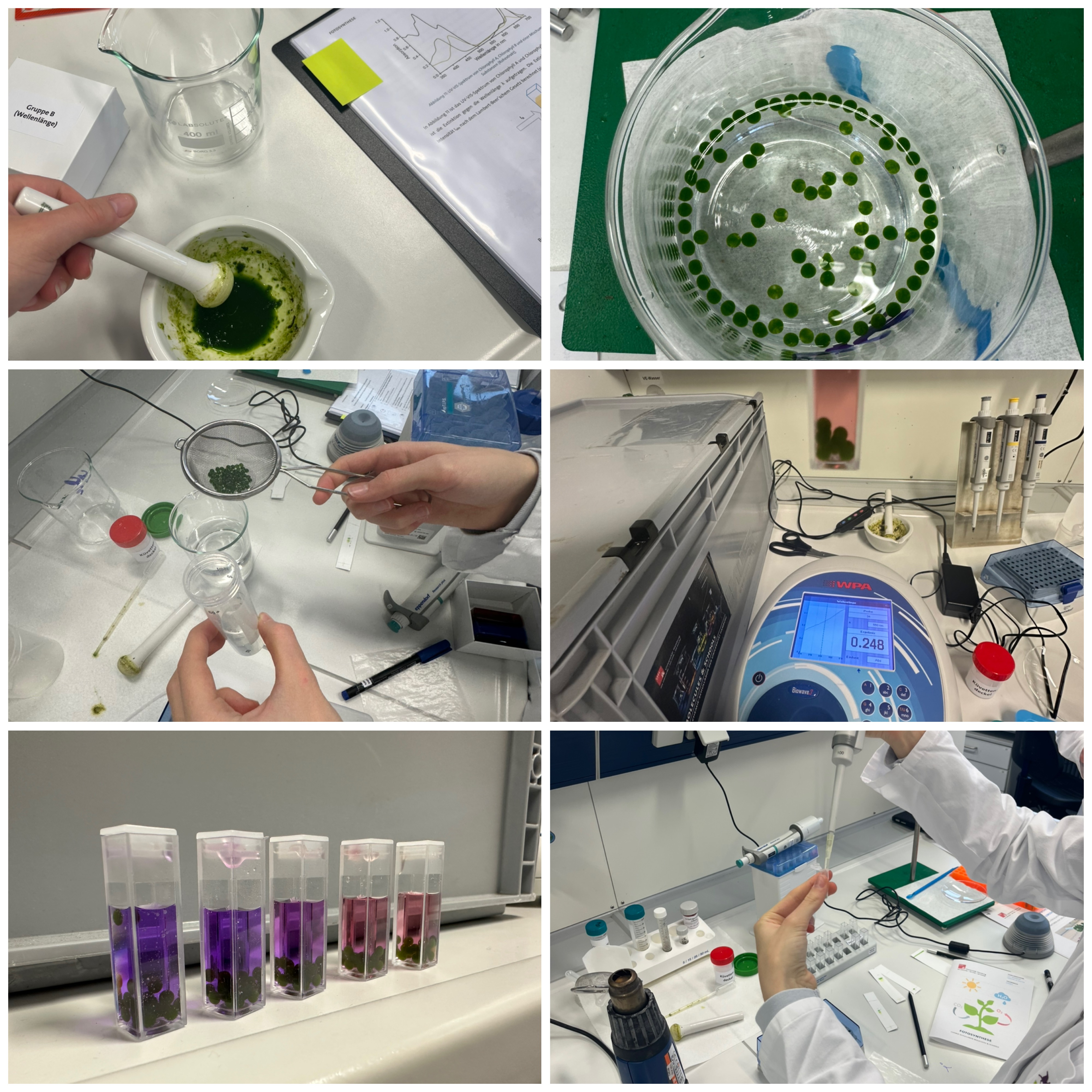 Laborbesuch Bioprofil 1